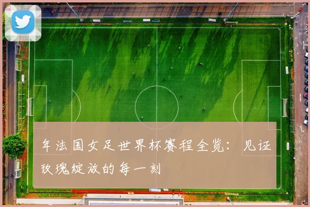 年法国女足世界杯赛程全览：见证玫瑰绽放的每一刻