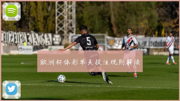 欧洲杯体彩单关投注规则解读